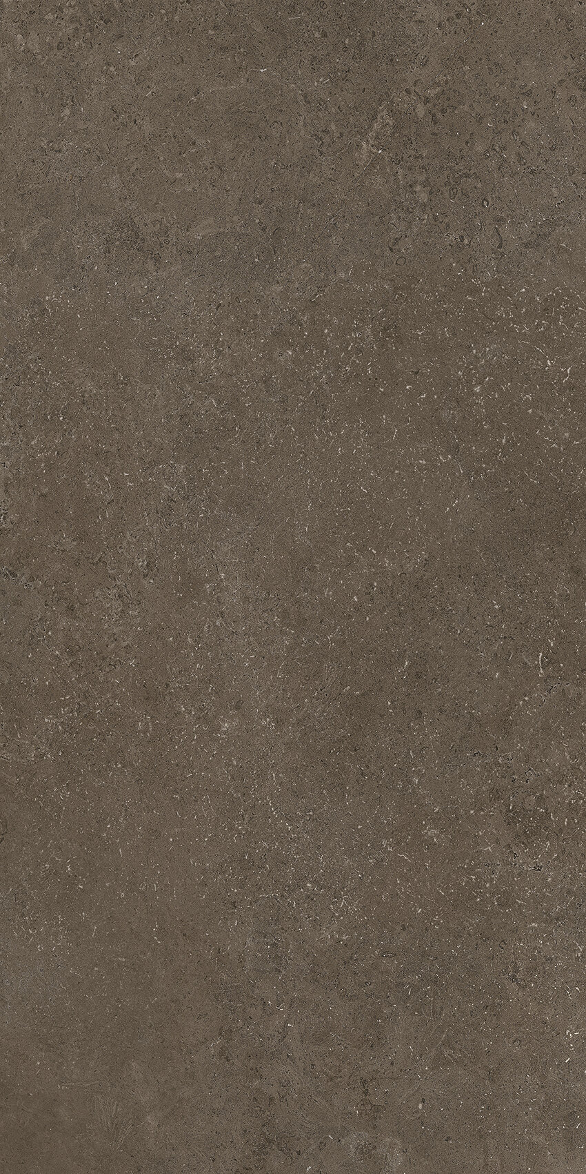 Bodenfliese CROATIA antracite 60x120