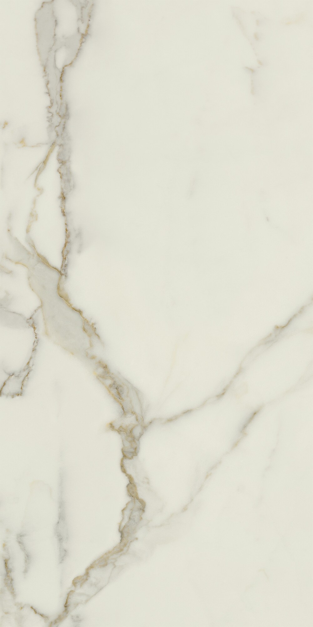 Bodenfliese CALACATTA ORO 60x120