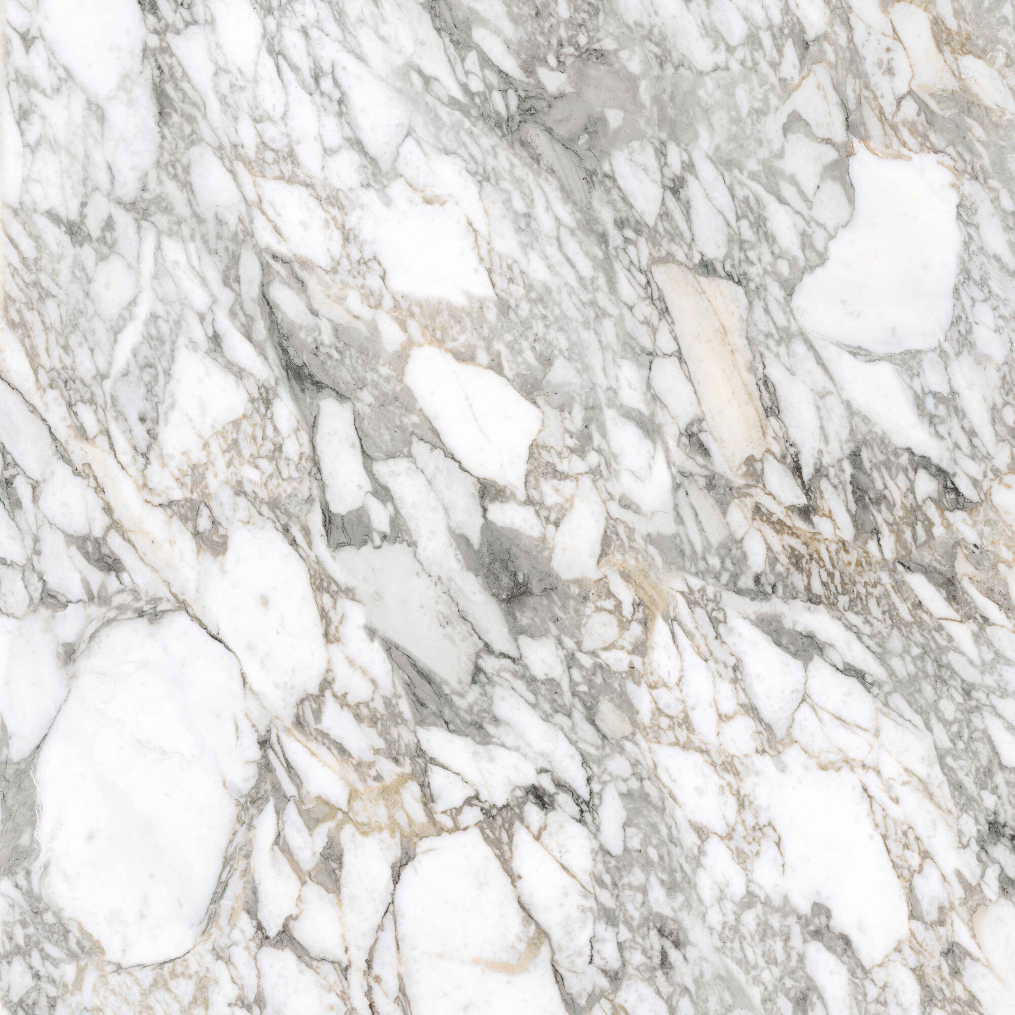 Bodenfliese SUPREME MEMORIES bianco vagli 120x120