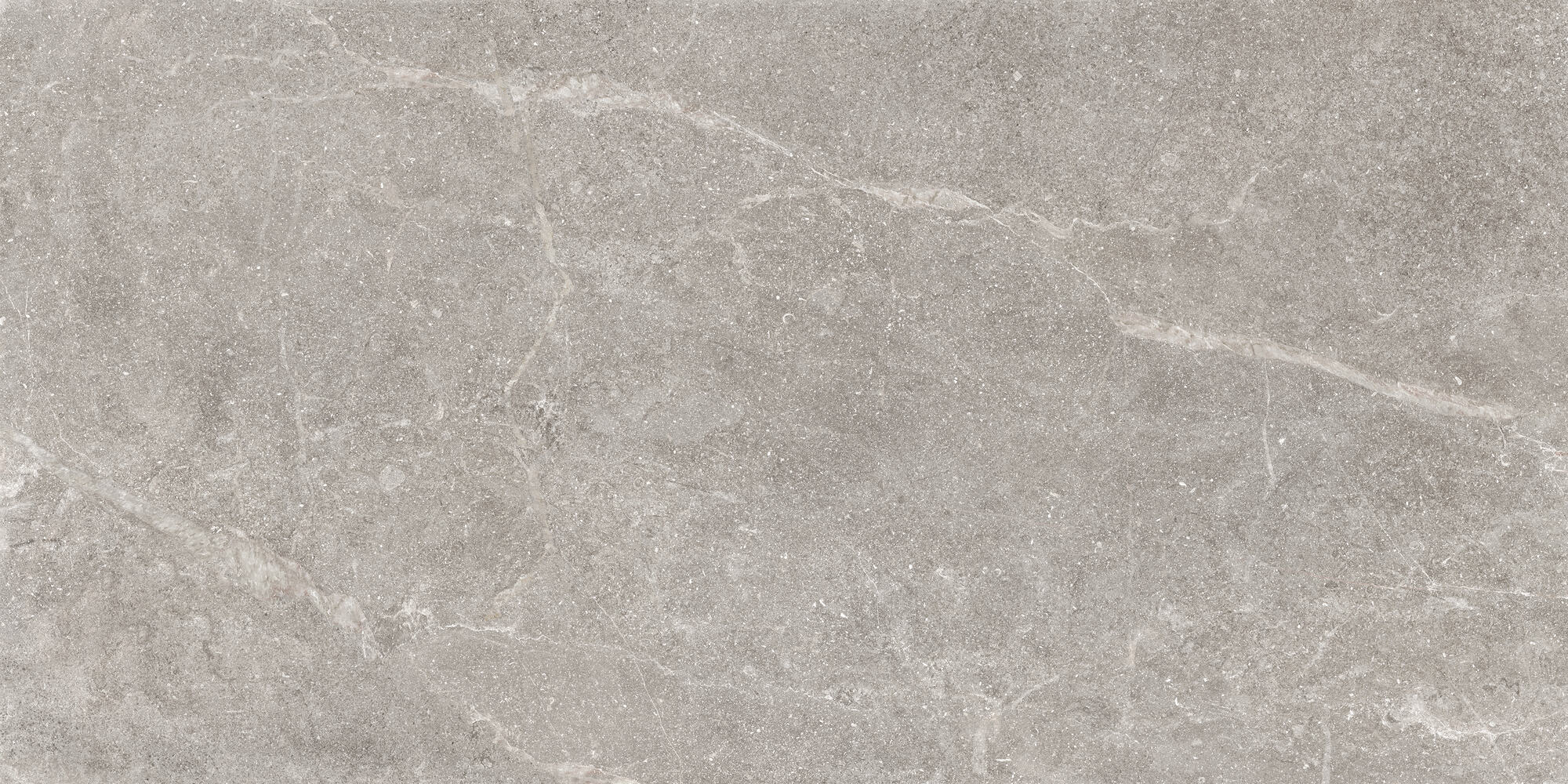Outdoor-Fliese PIETRA ANTICA grey 60x120