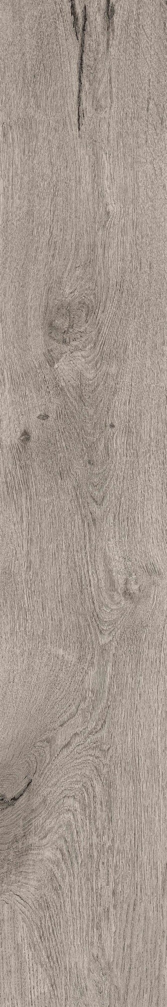 bark
