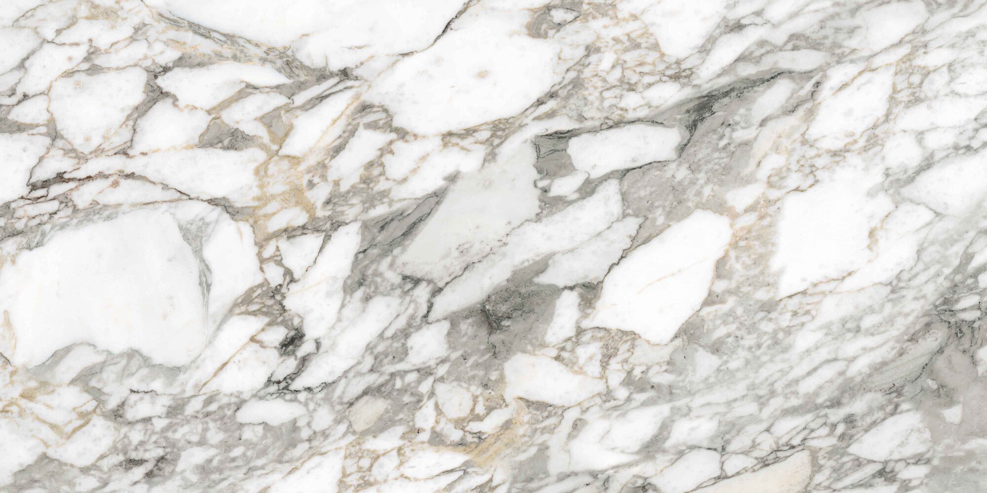 Bodenfliese SUPREME MEMORIES bianco vagli 60x120