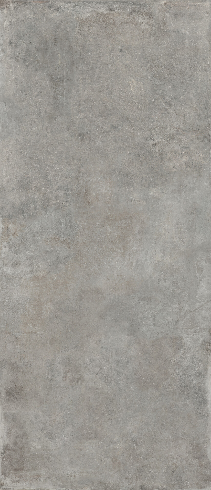 Wandfliese RE_TOUR fog 120x280