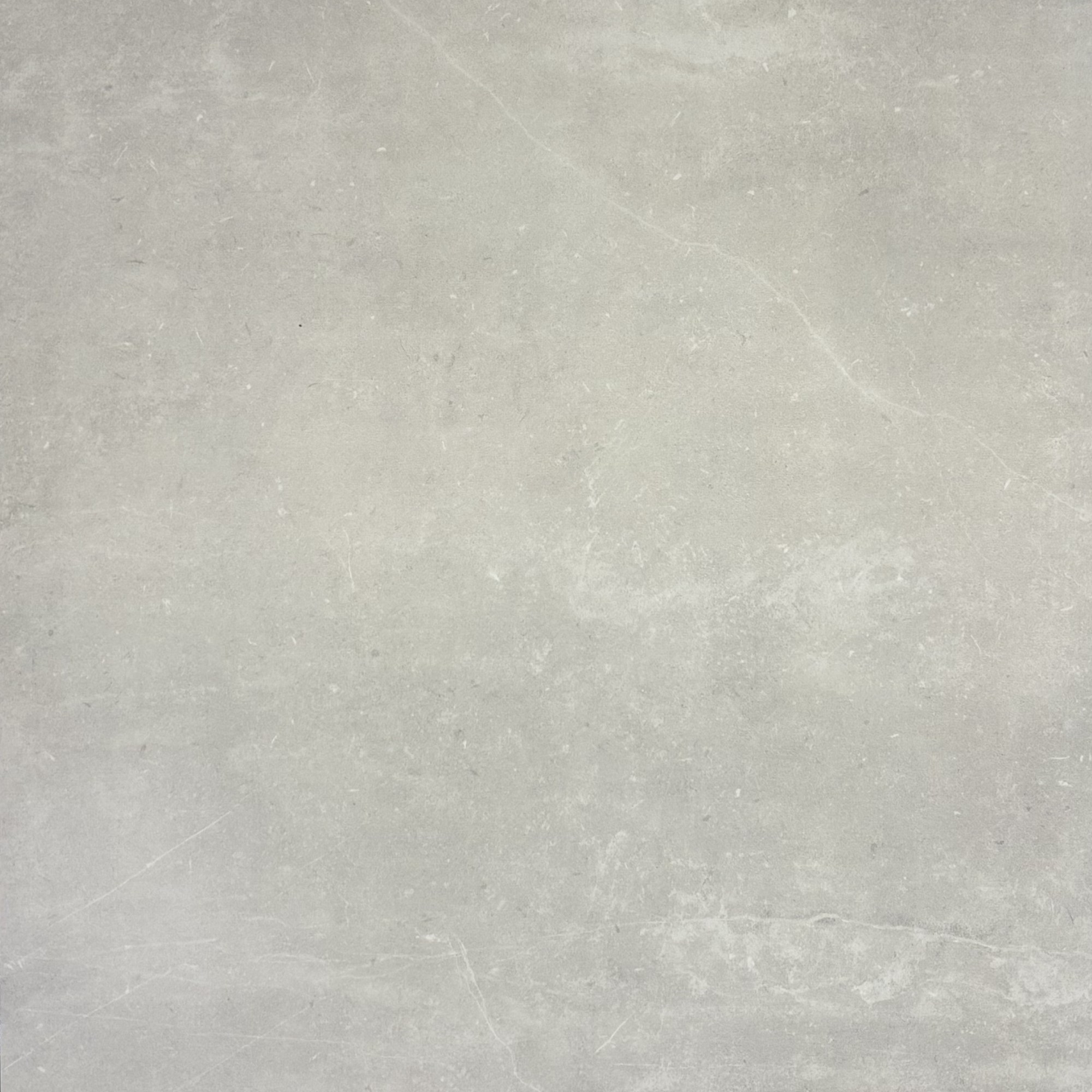 Bodenfliese Pan white/grey 60 x 60
