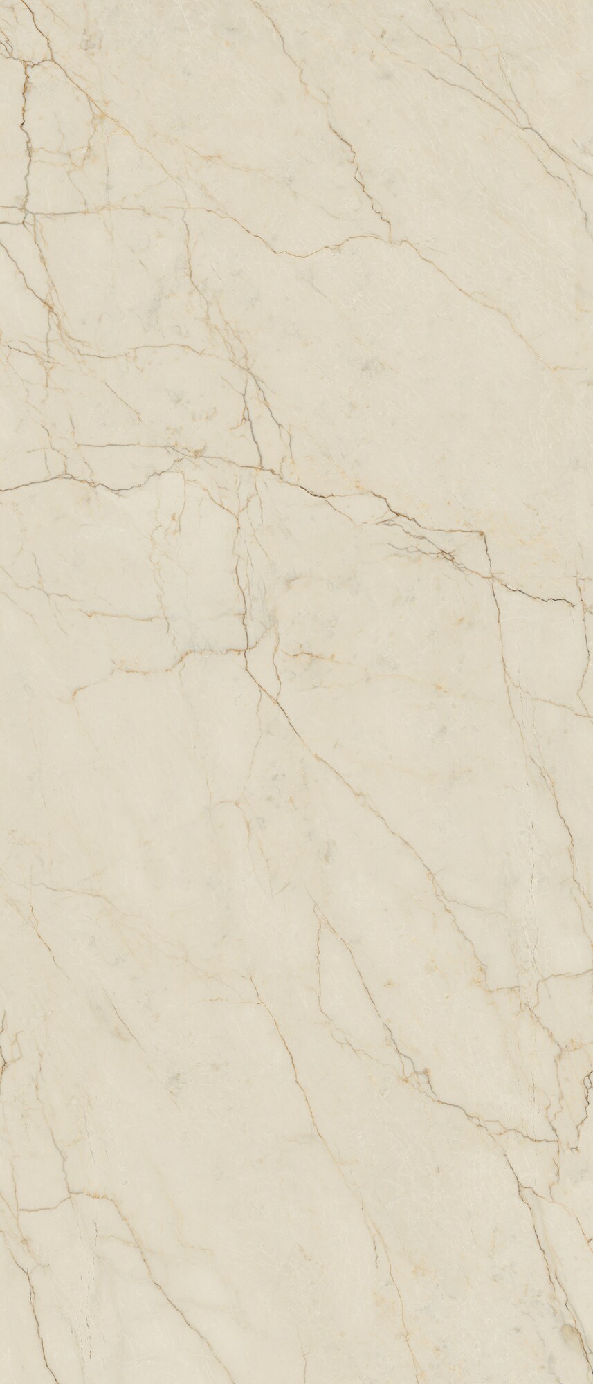 Wandfliese AVORIO SEGESTA 120x280 (nat)