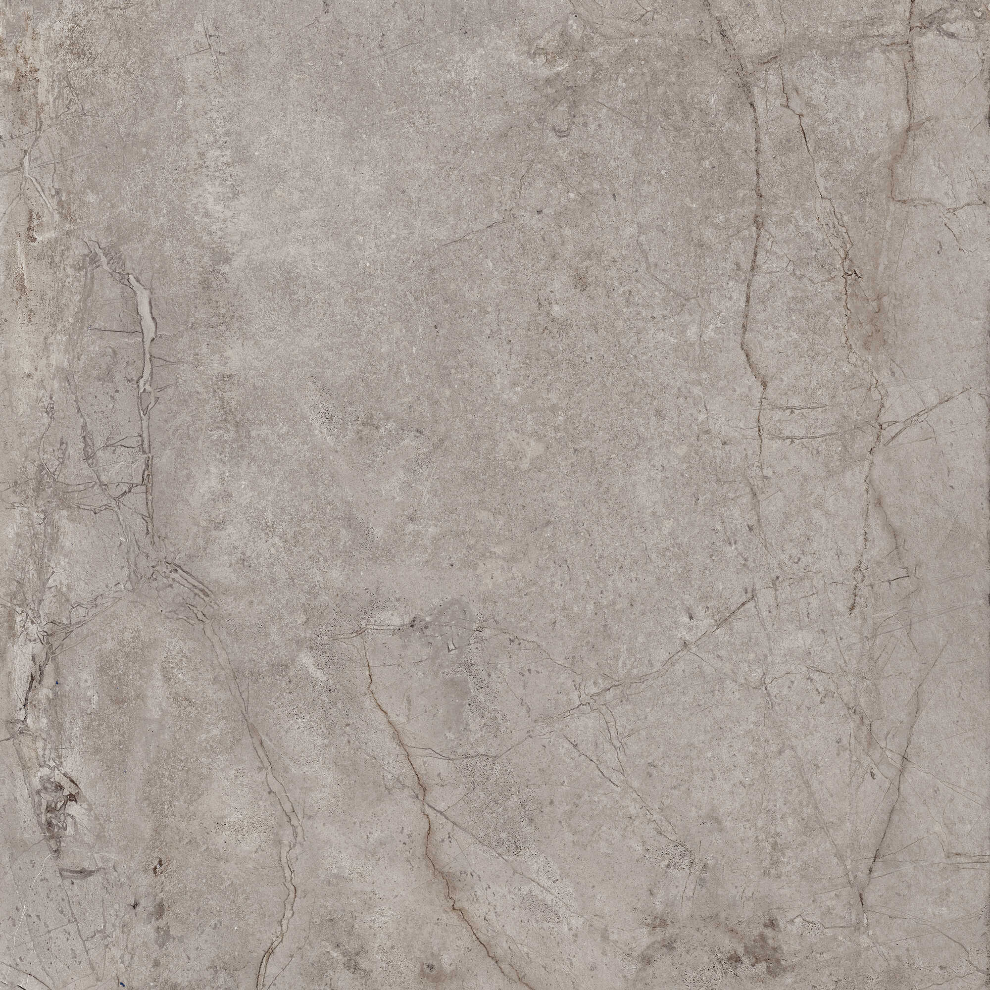 Bodenfliese EVOLUTION sugar 60x60