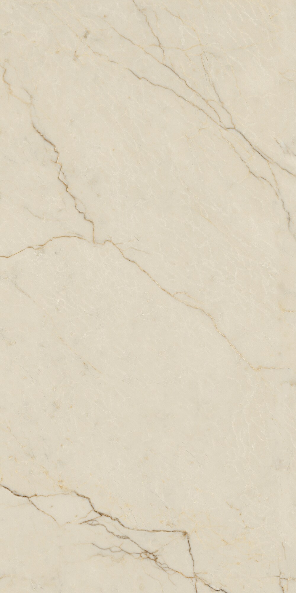Bodenfliese AVORIO SEGESTA 60x120