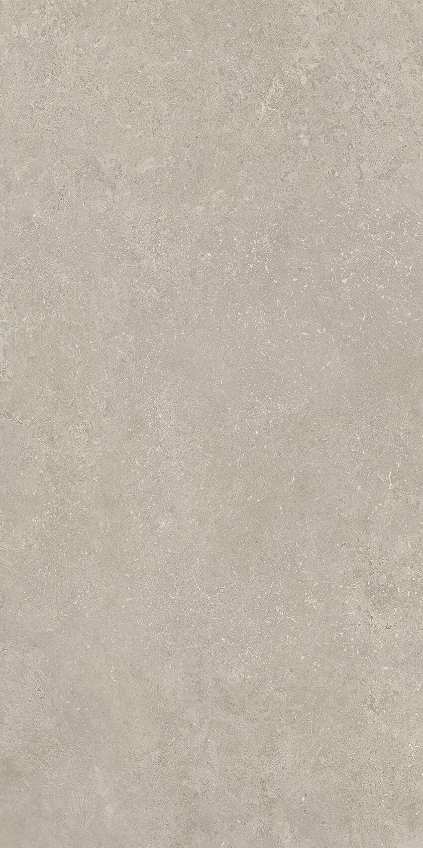 Bodenfliese CROATIA grigio 60x120